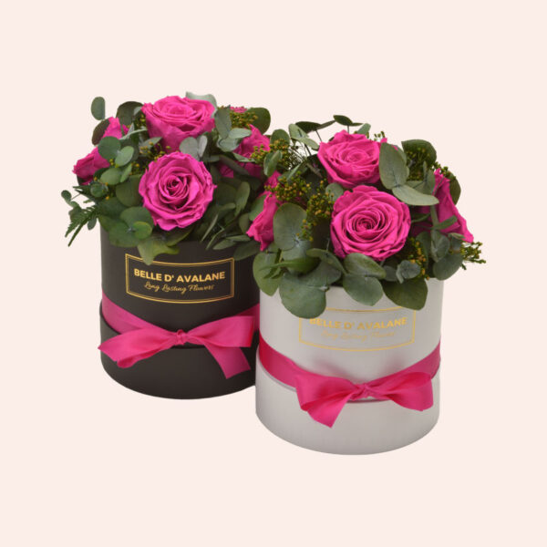 Roses in a box L Ø15 cm Bouquet-zwart-en-wit-box-fuschia-rose