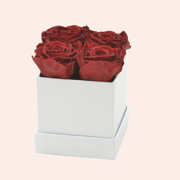 Roses in a box M vierkant-wit-box-rood-rose