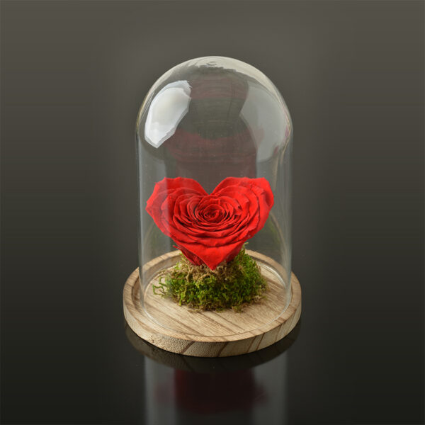 Hartvormige roos 'LOVE' XXL-bruine-voet-rood-rose