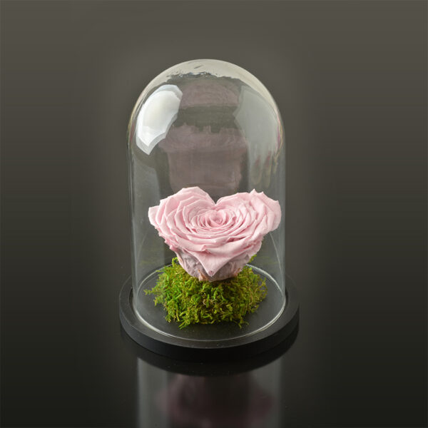 Hartvormige roos 'LOVE' XXL-zwarte-voet-roze-rose