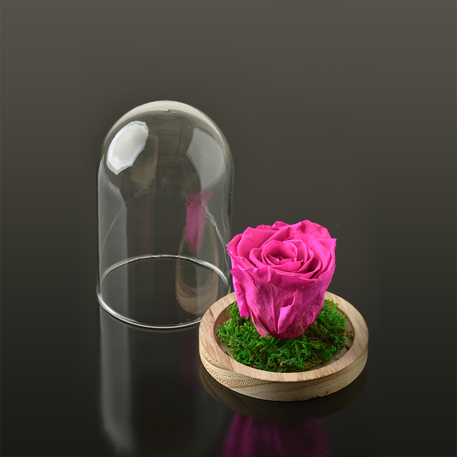 Rose in een stolp S-bruine-voet-fuchsia-rose